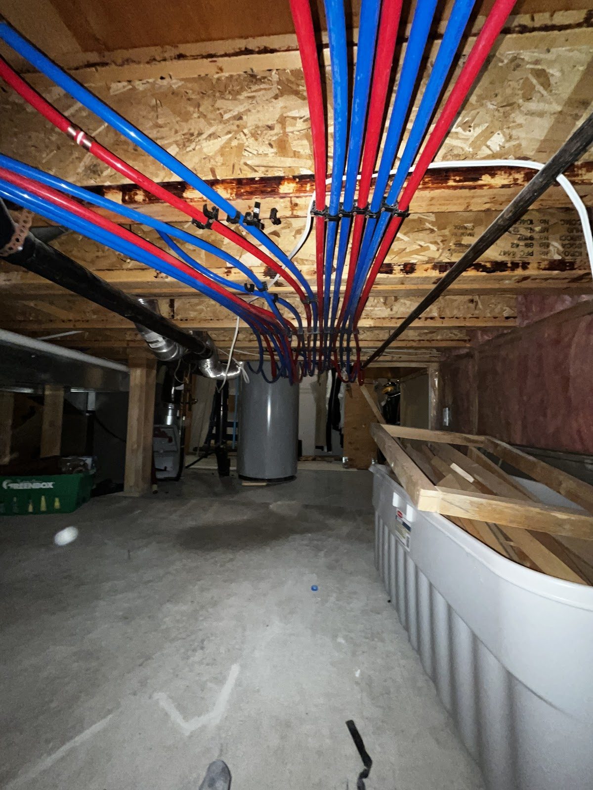 Basement ceiling after a repipe, with new red and blue PEX supply lines running in continuous home runs between the joists